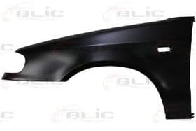 Крило переднє