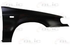 Крило переднє