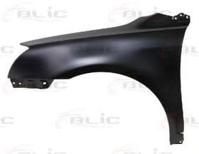 Крило переднє