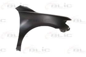 Крило переднє