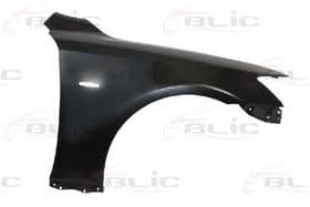 Крило переднє