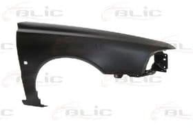 Крило переднє