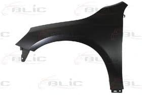 Крило переднє