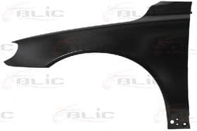 Крило переднє