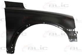 Крило переднє