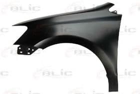 Крило переднє Крило переднє