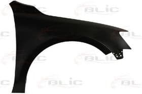 Крило переднє