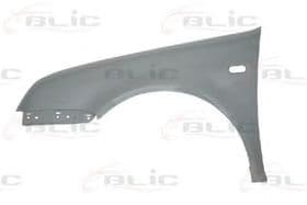 Крило переднє