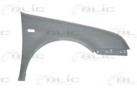 Крило переднє