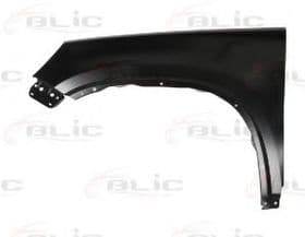 Крило переднє