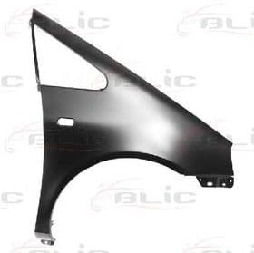 Крило переднє