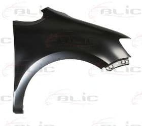 Крило переднє