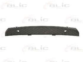 BLIC 6509-01-3547920P