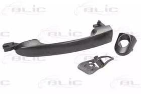 Ручка дверей