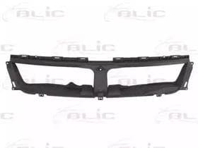 Решітка радіатора