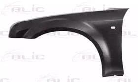 Крило переднє