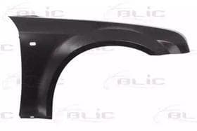 Крило переднє