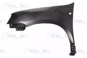 Крило переднє