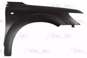 Крило переднє