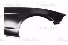 Крило переднє