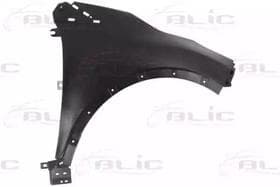 Крило переднє