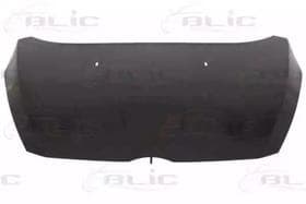 Капот Капот