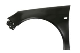 Крило переднє