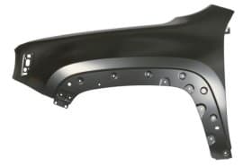 Крило переднє