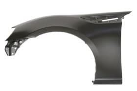 Крило переднє