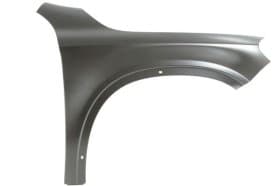 Крило переднє