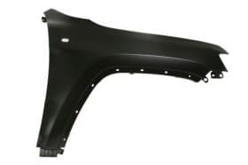 Крило переднє