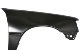 Крило переднє