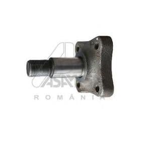 Поворотний кулак Asam 30319