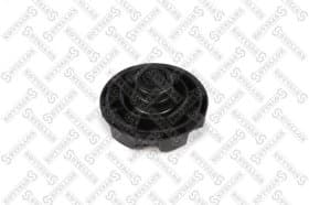 Кришка радіатора