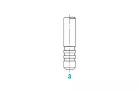 Впускной клапан