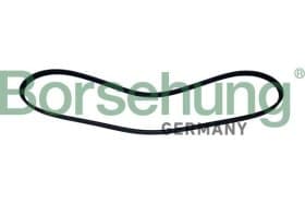 Поліклиновий ремінь Borsehung b12503