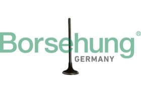 Впускной клапан