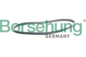 Поліклиновий ремінь Borsehung b12387