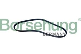 Поліклиновий ремінь Borsehung b12496