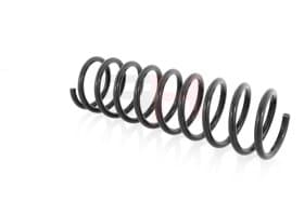 Пружина підвіски