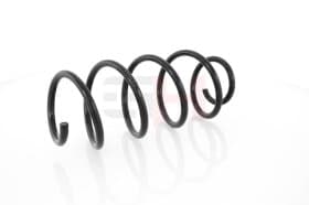 Пружина підвіски