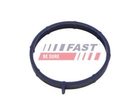 Прокладка впускного колектора Fast ft49467