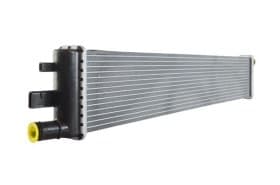 Радіатор охолодження двигуна Радіатор охолодження двигуна