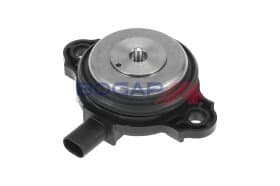 Центральний магніт шестерні розподільного вала Центральний магніт шестерні розподільного вала