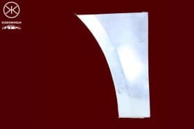 Крило переднє