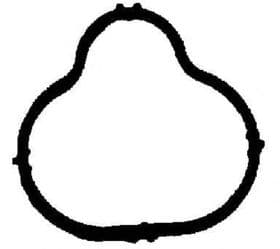 Прокладка впускного колектора