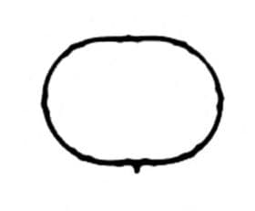 Прокладка впускного коллектора