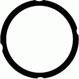 Прокладка ГБЦ Прокладка ГБЦ