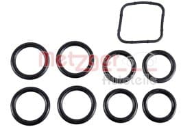 Комплект прокладок впускного коллектора Metzger 2100900