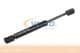 V30-2072 Vaico Газовый упор багажника для Mercedes CLK-Class